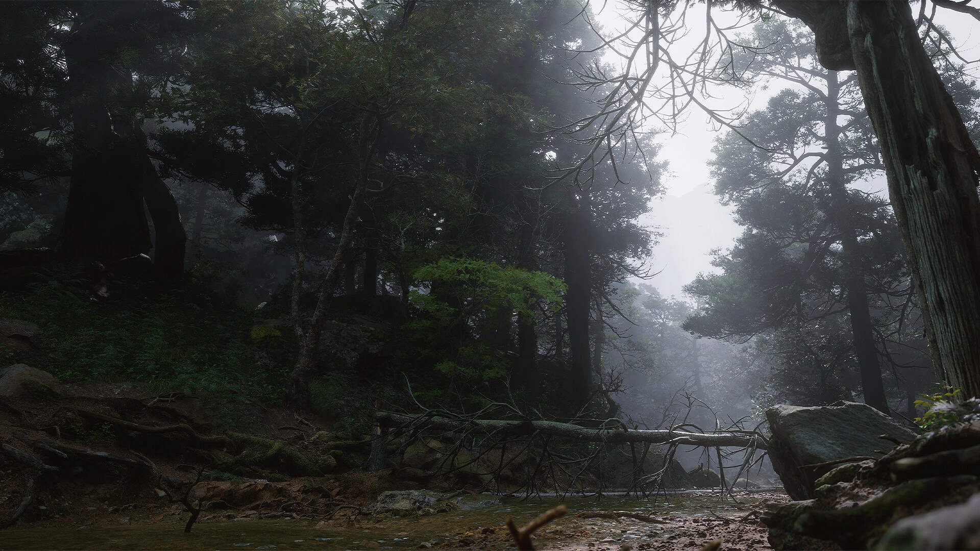 Гайд по использованию Black Myth: Wukong - тестирование производительности