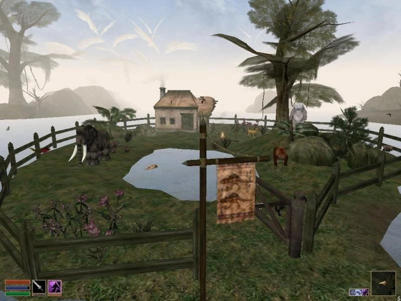 Morrowind "Зоомагазин Эбигейл"