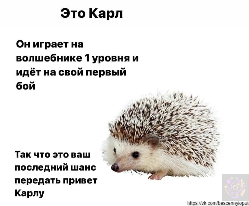 Тяжелая судьба волшебников