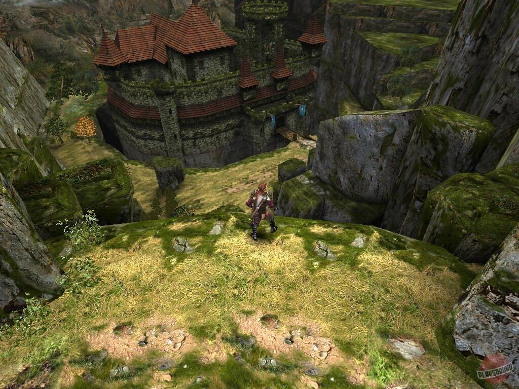 The Witcher. Ты ведьмачка, я ведьмак