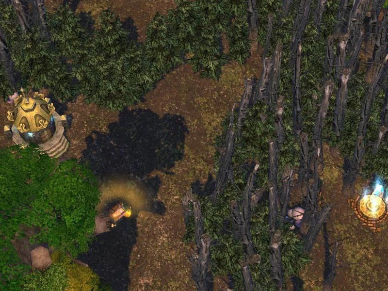 Heroes Of Might And Magic 5: Повелитель орды "Карта - Dark Forest"