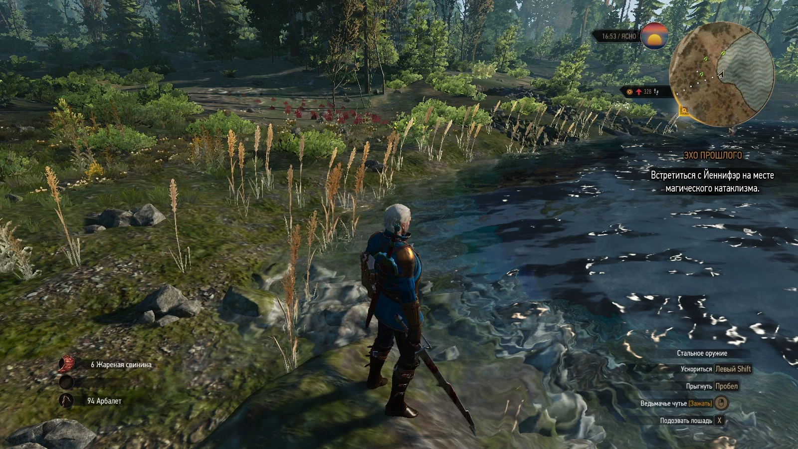 The Witcher 3: Wild Hunt / Ведьмак 3: Дикая Охота: Совет (Получение меча Эредина)