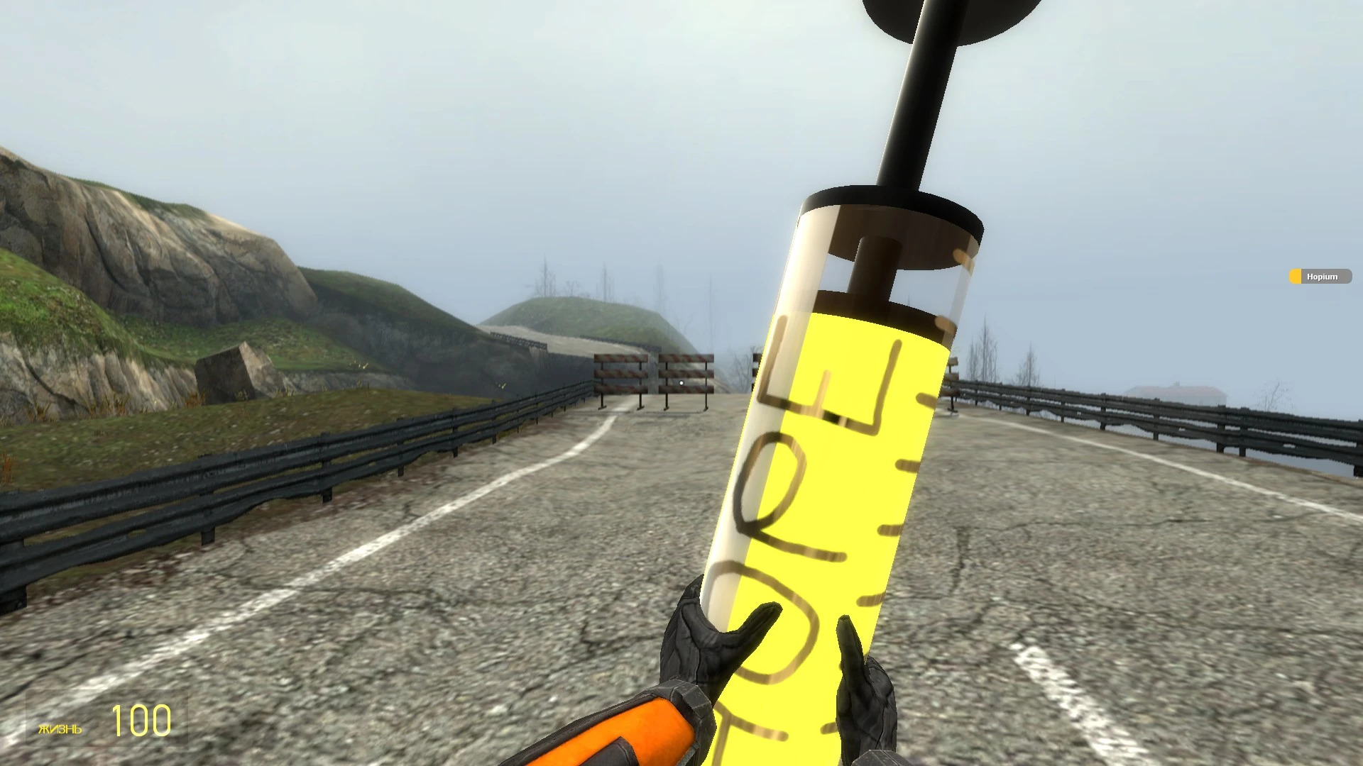 Garry's Mod "Hopium - Шприц с Надеждой"