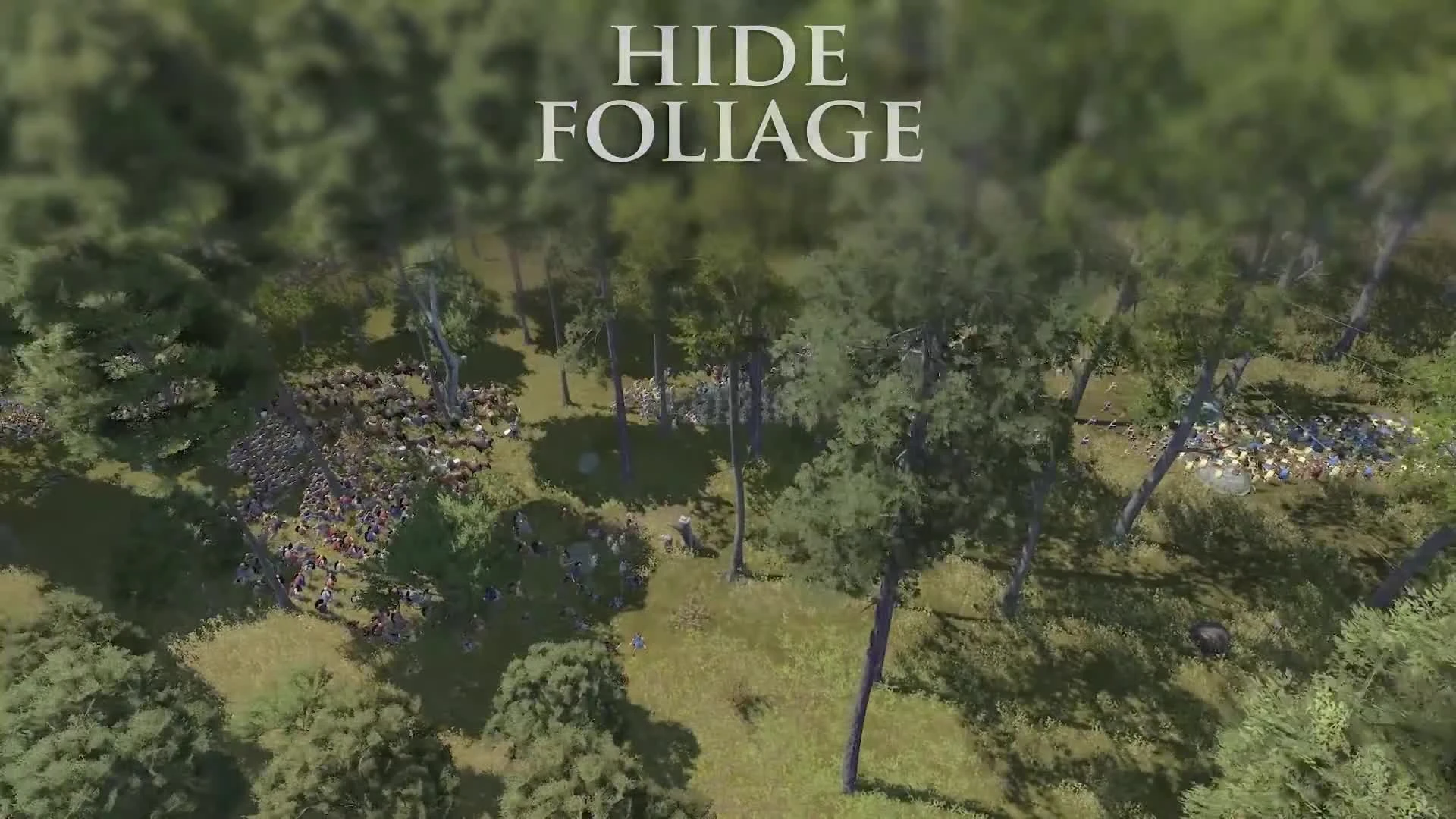 Total War: ROME 2 | Семейное древо и улучшение графики