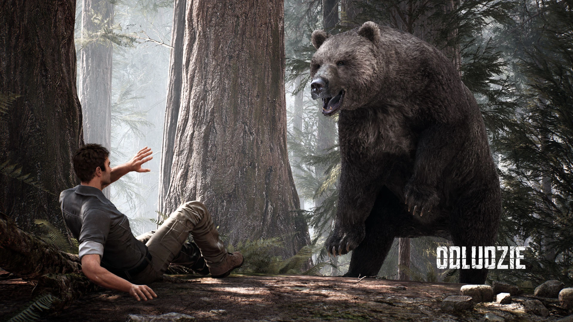 Выжить в польских горах: первый ролик Odludzie