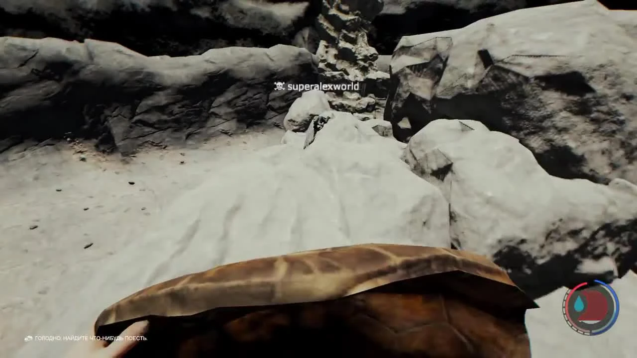 The Forest - обзор нового обновления v0.66 Санки из панциря черепахи