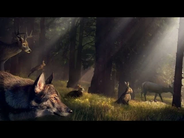 Для Natural Instincts стартовало закрытое бета-тестирование