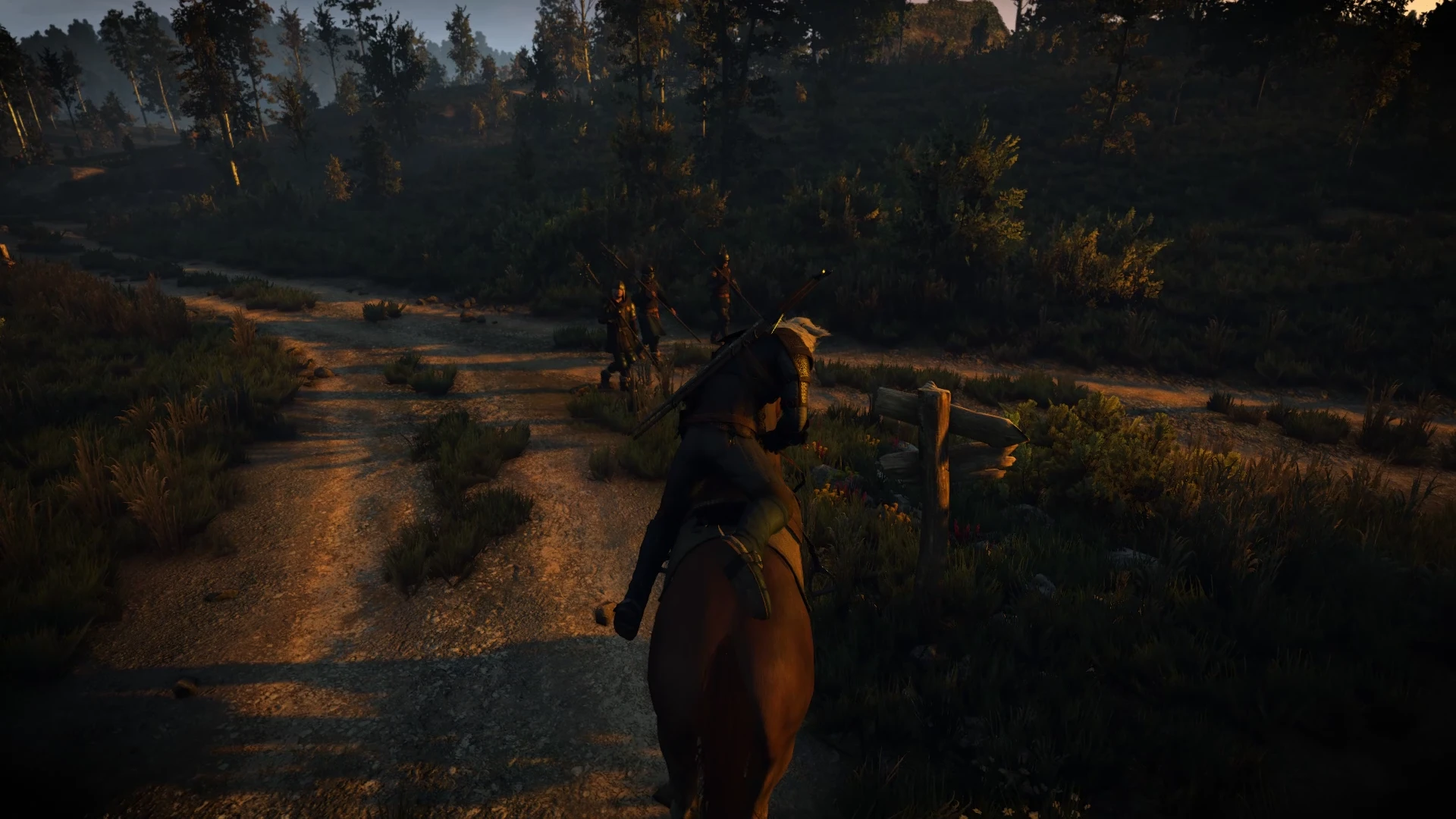 Witcher 3 "Плавная камера на Плотве"