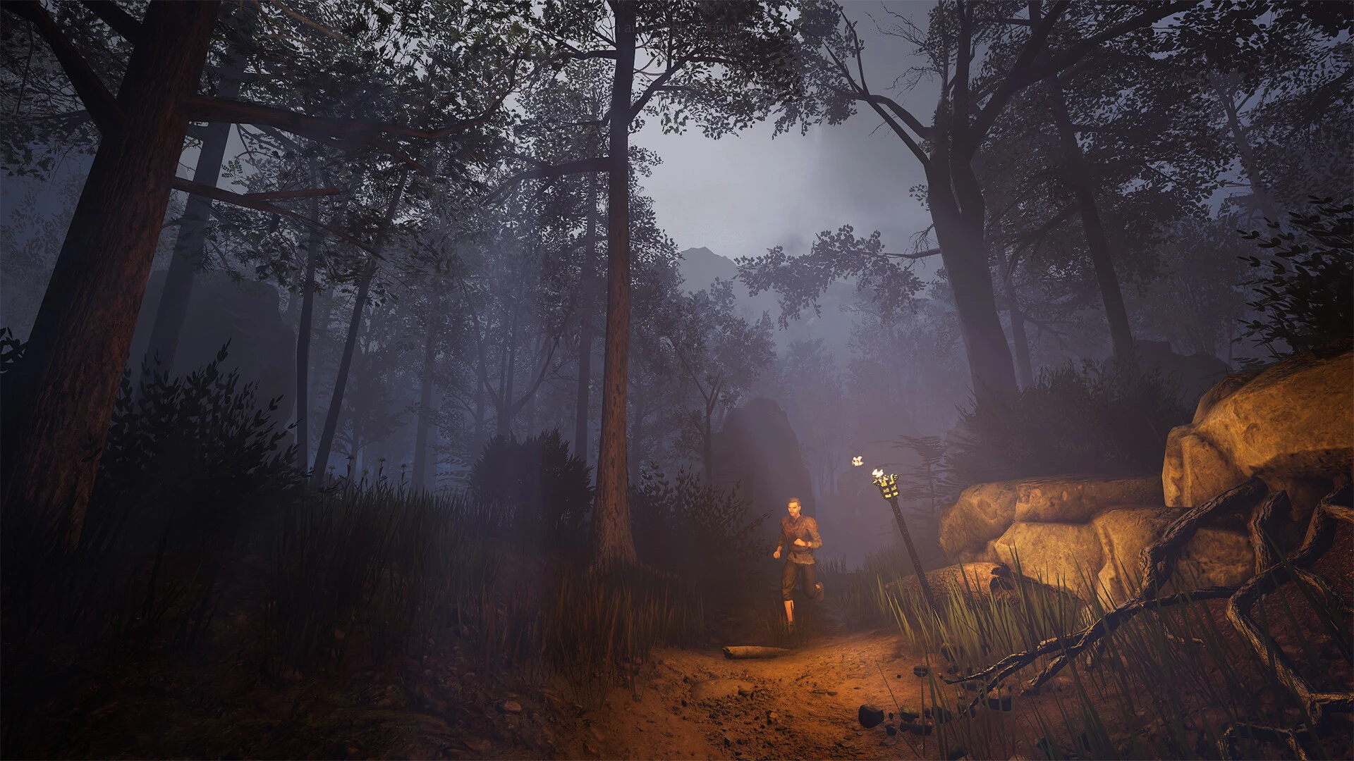 Доход Of Ash and Steel в Steam стремится к отметке в миллион долларов