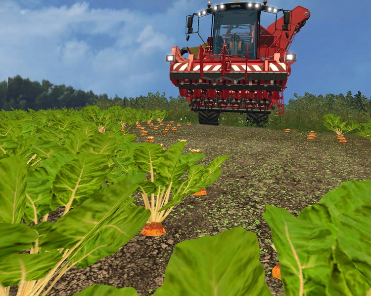 Farming Simulator 15 "Текстуры сахарной свеклы Mangold Beet Texture Pack V 1.0"