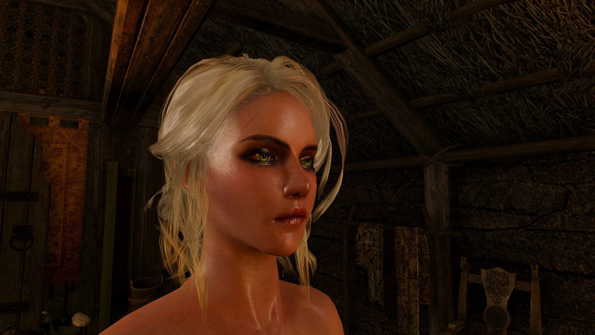 Witcher 3 "Влажная кожа для Цири"