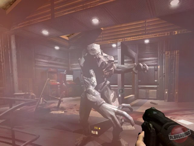 Голосуй и выигрывай