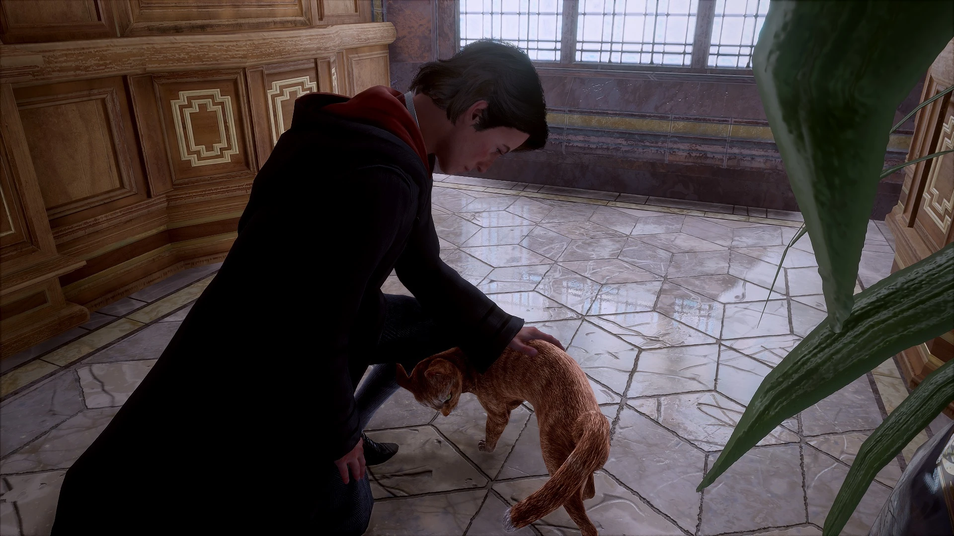 Hogwarts Legacy "Оранжевый кот"