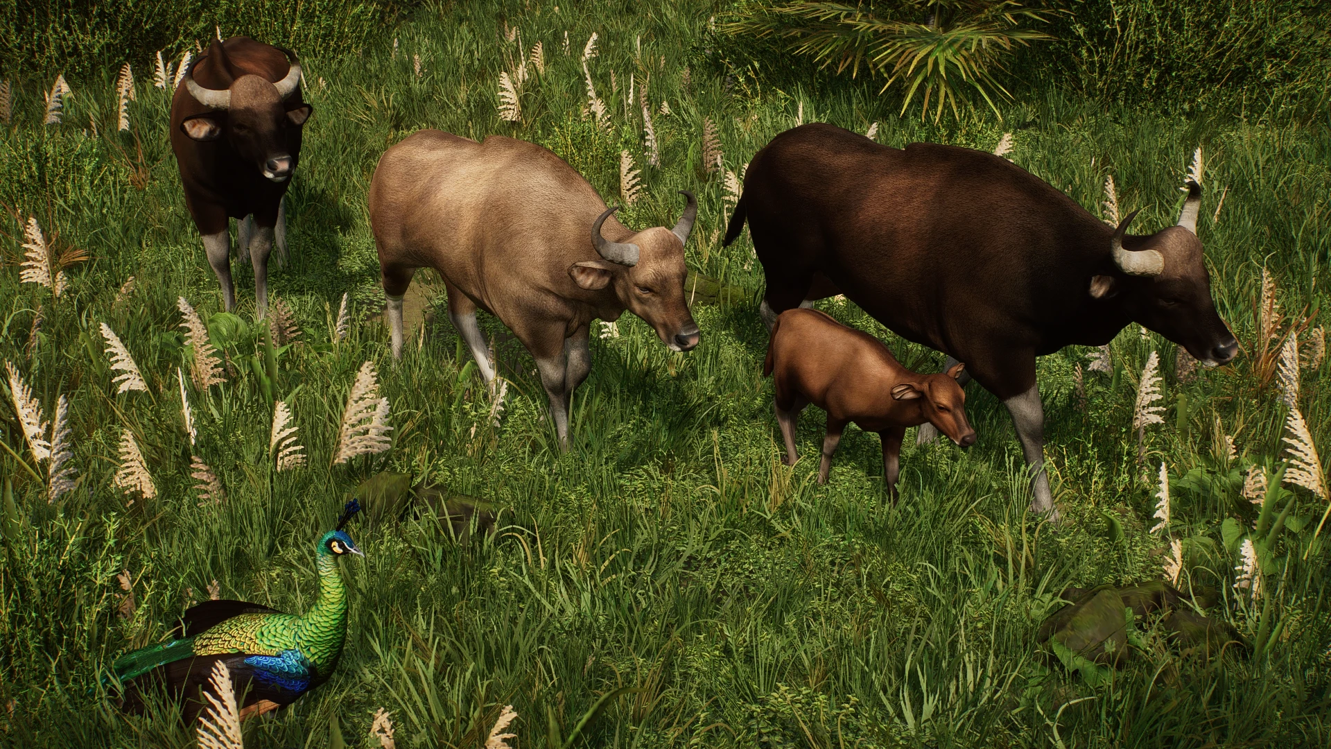 Planet Zoo "Гаур-новый вид"