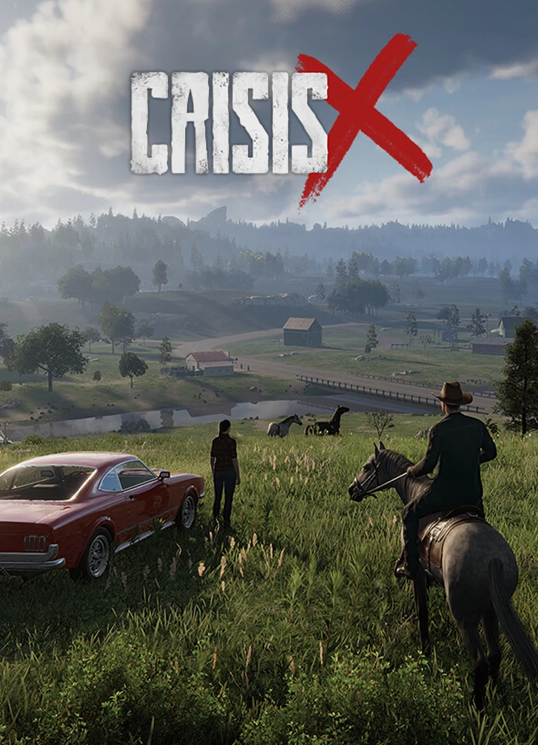 CrisisX