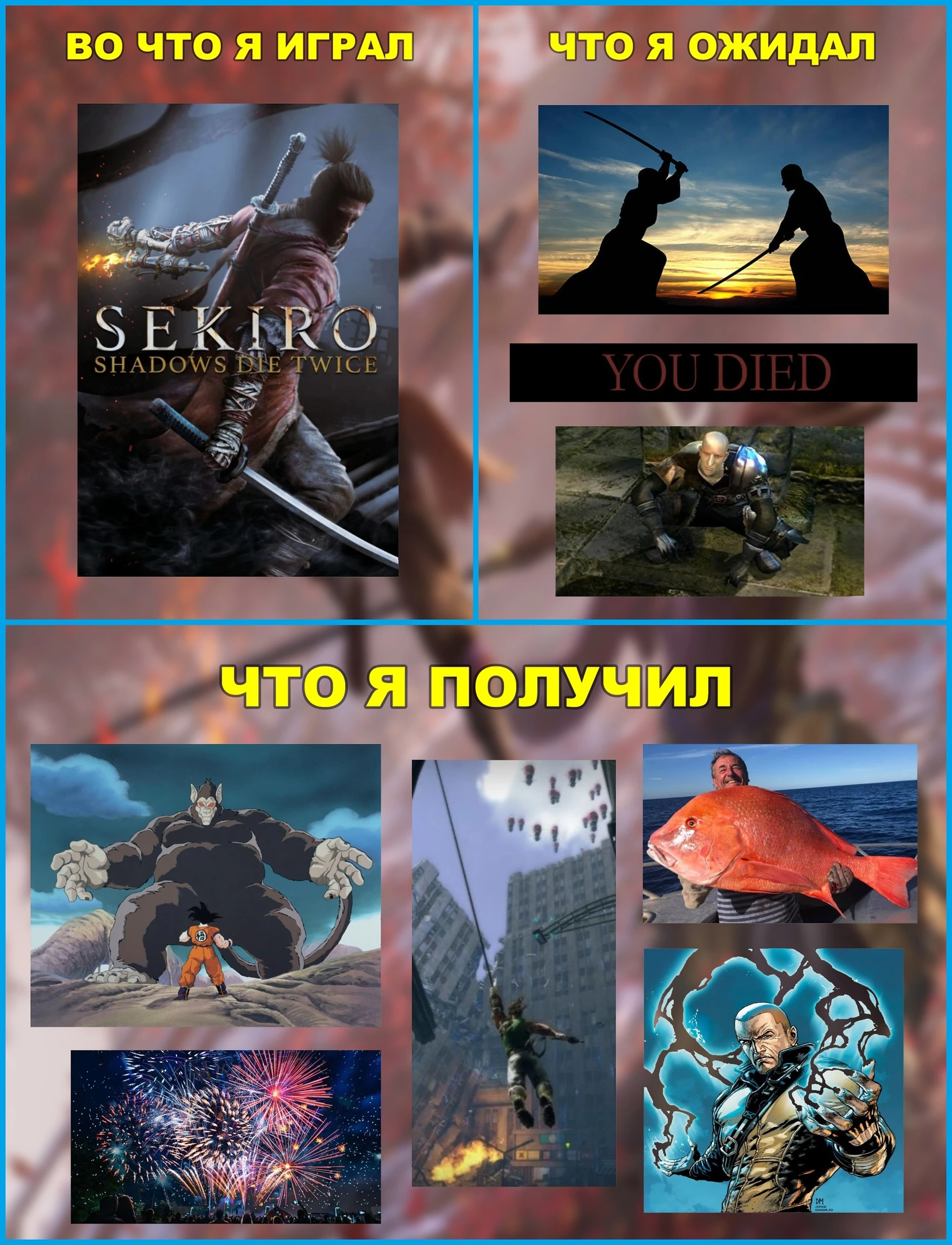 Чего ожидал и что получил