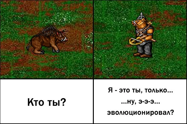 Эволюционировал