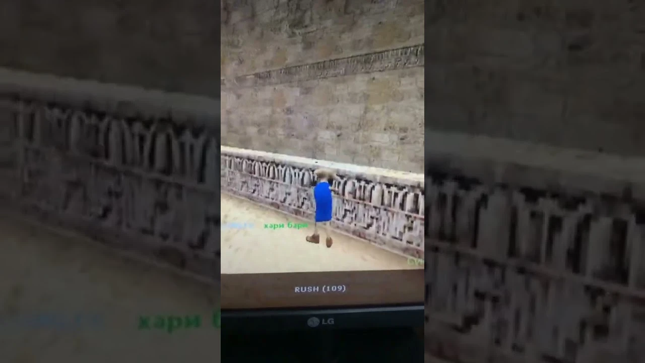 Добби попал в counter strike