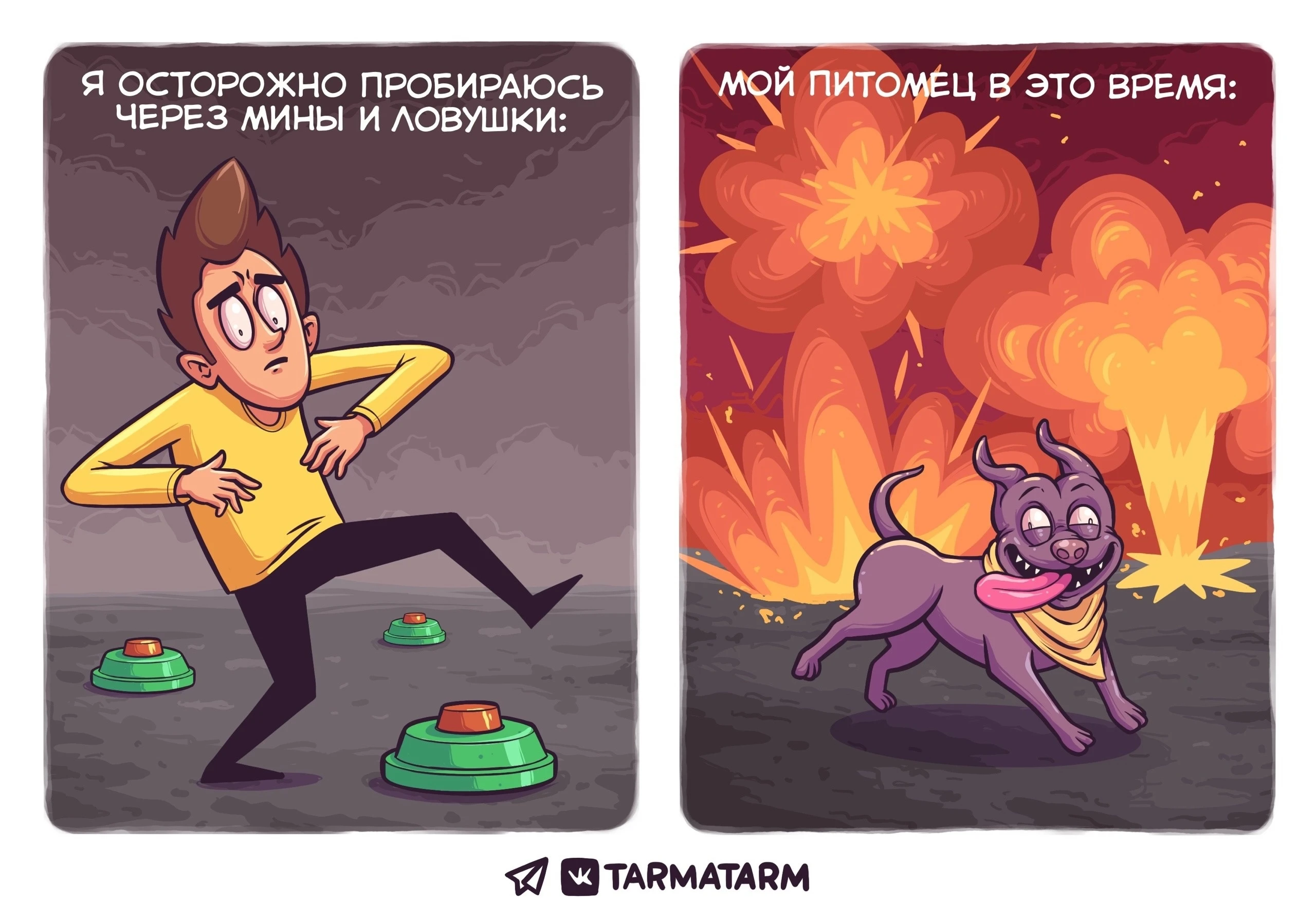 Типичная ситуация с питомцем