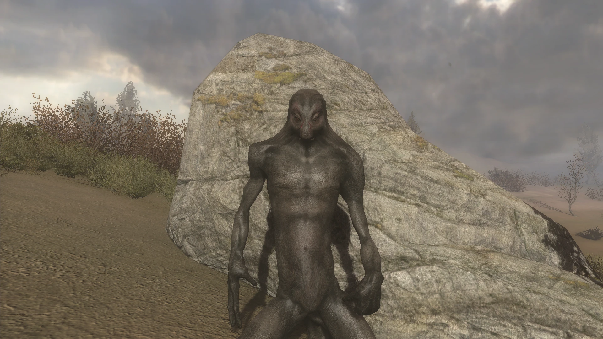 S.T.A.L.K.E.R.: Call of Pripyat "Dark Ones"