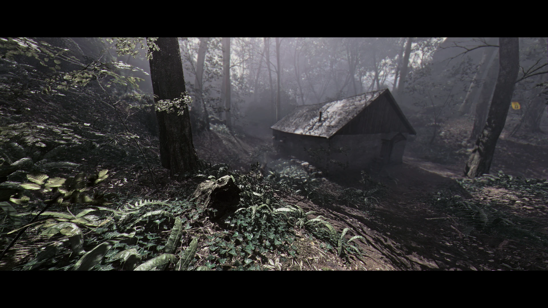 Battlefield 1 "Реалистичное окружение"