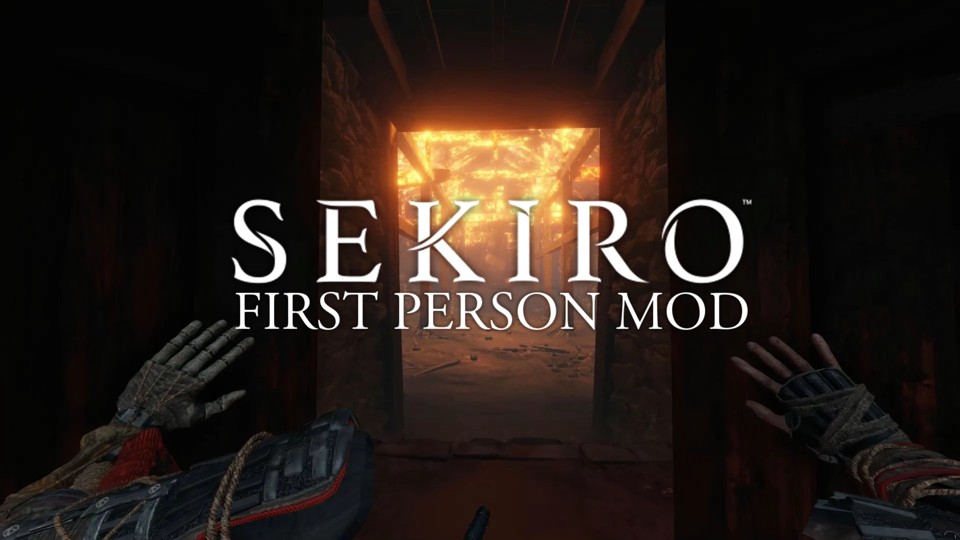 Sekiro: Shadows Die Twice "Вид от первого лица"