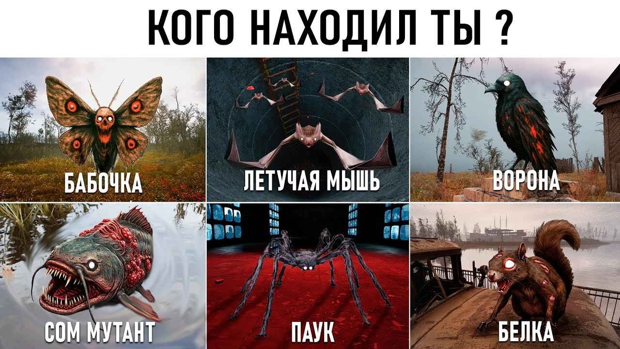 24 необычных существа из S.T.A.L.K.E.R. 2, о которых почти никто не слышал