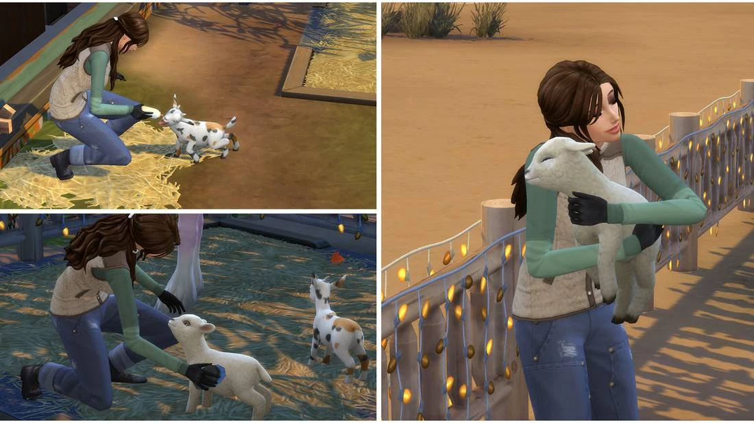 The Sims 4: Horse Ranch - Как завести мини-коз и овец и ухаживать за ними