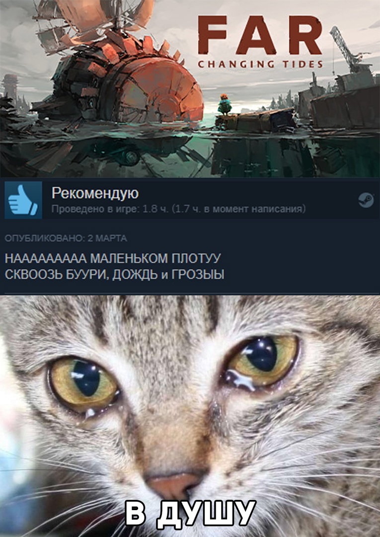 Отзыв