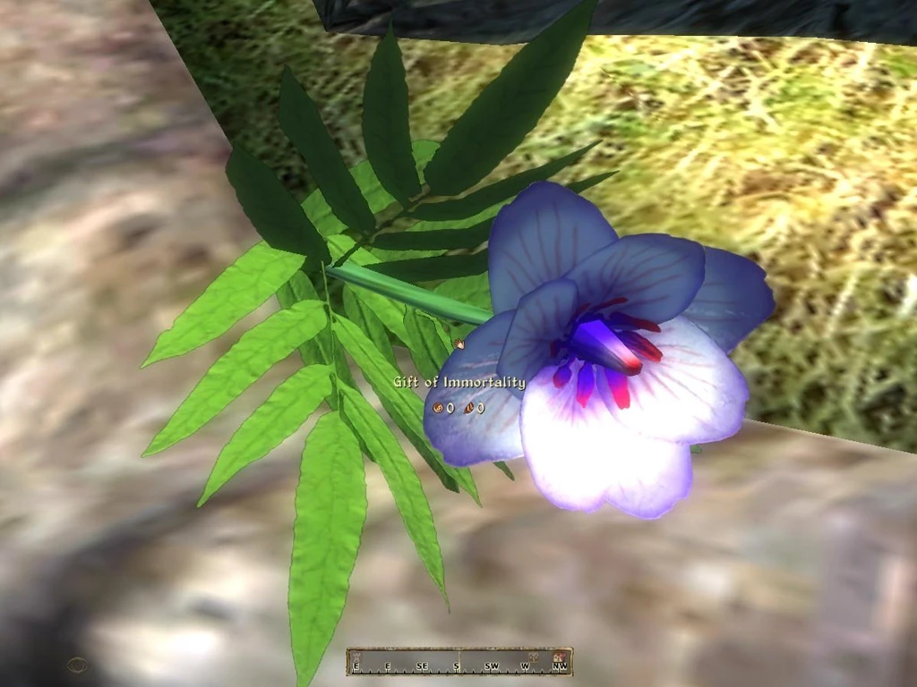 TES 4: Oblivion "Защита Мары"