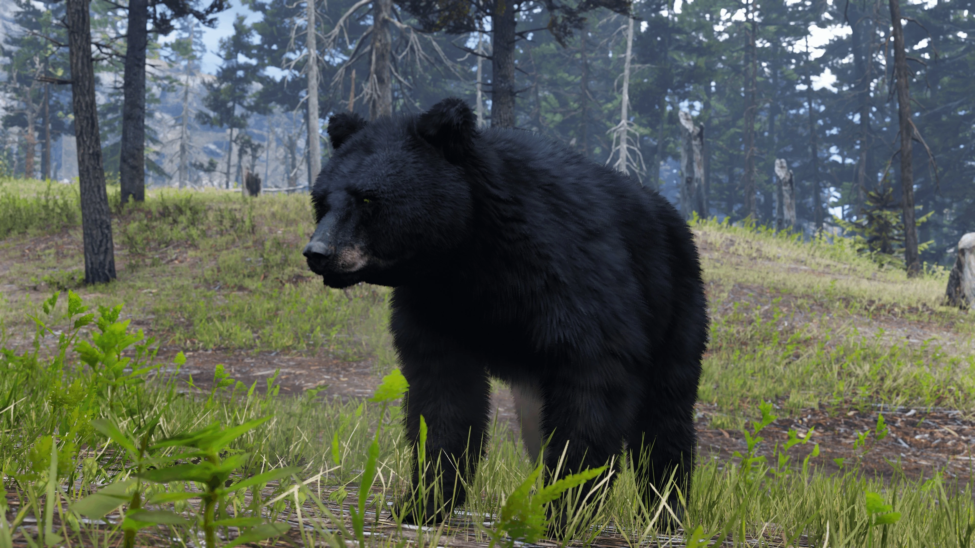 Red Dead Redemption 2 "Улучшенные текстуры для крупных животных"