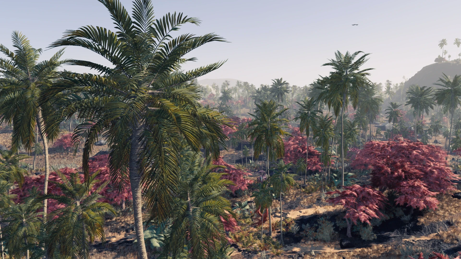 Starfield "Зеленые пальмы (красно-оранжевых пальм больше нет)"