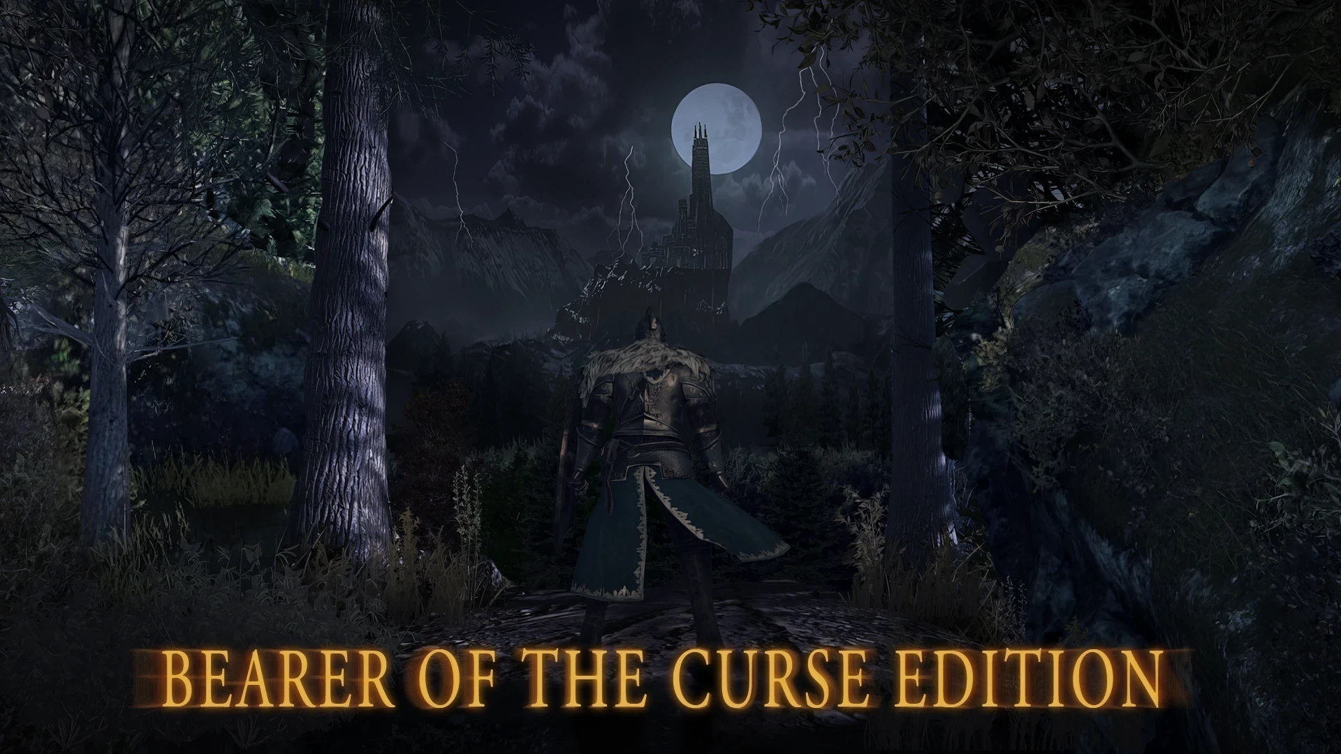 Dark Souls 2 "Мод на улучшение игры - Bearer of the Curse Edition"