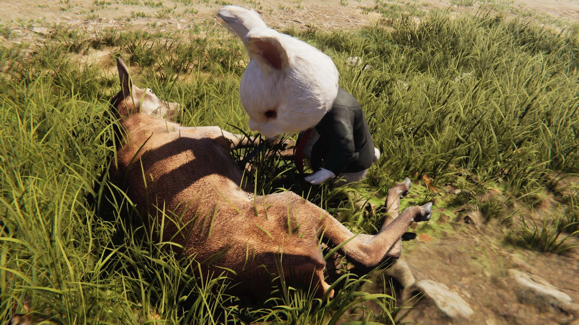 Где найти всех приручаемых животных в Once Human