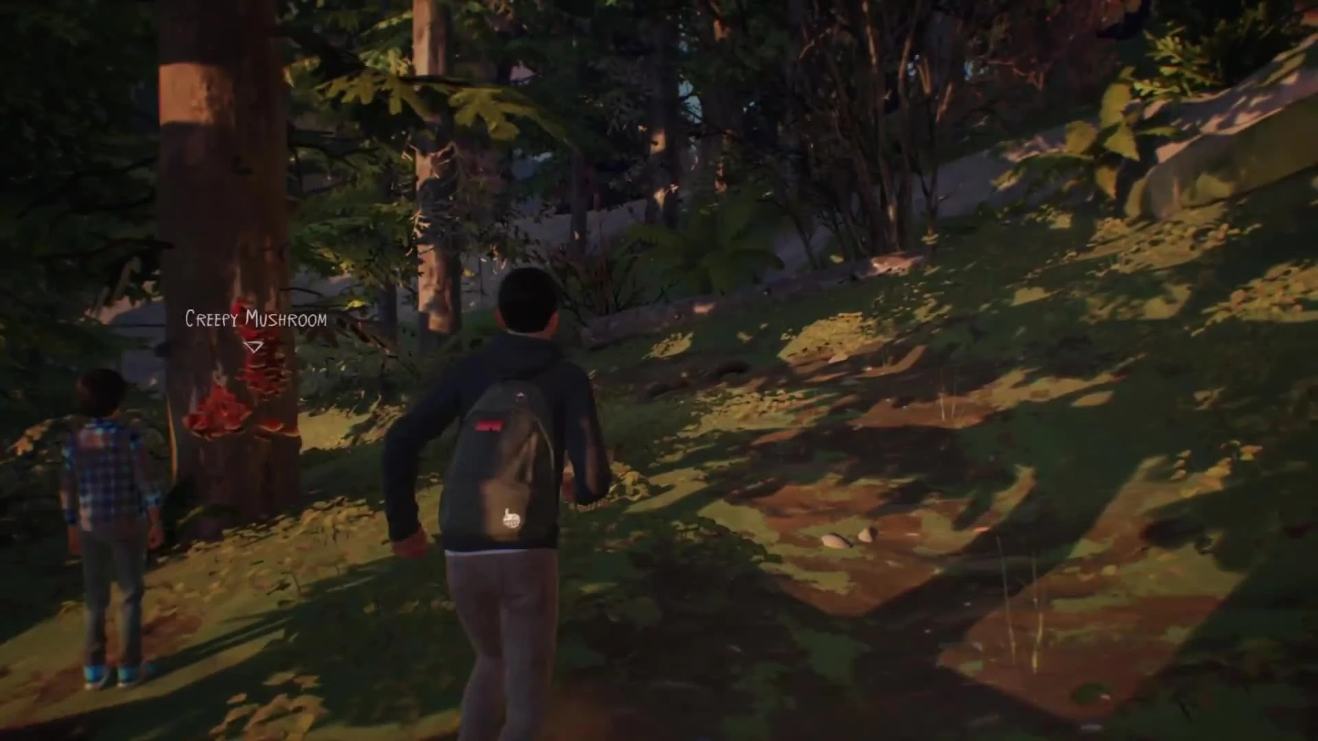 Life is Strange 2 - в первом эпизоде адвенчуры обнаружена отcылка на The Last of Us