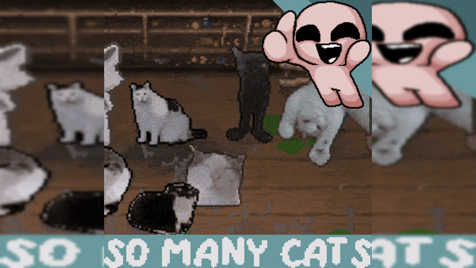 The Binding of Isaac "Все лавочники превращаются в гифки с котами"