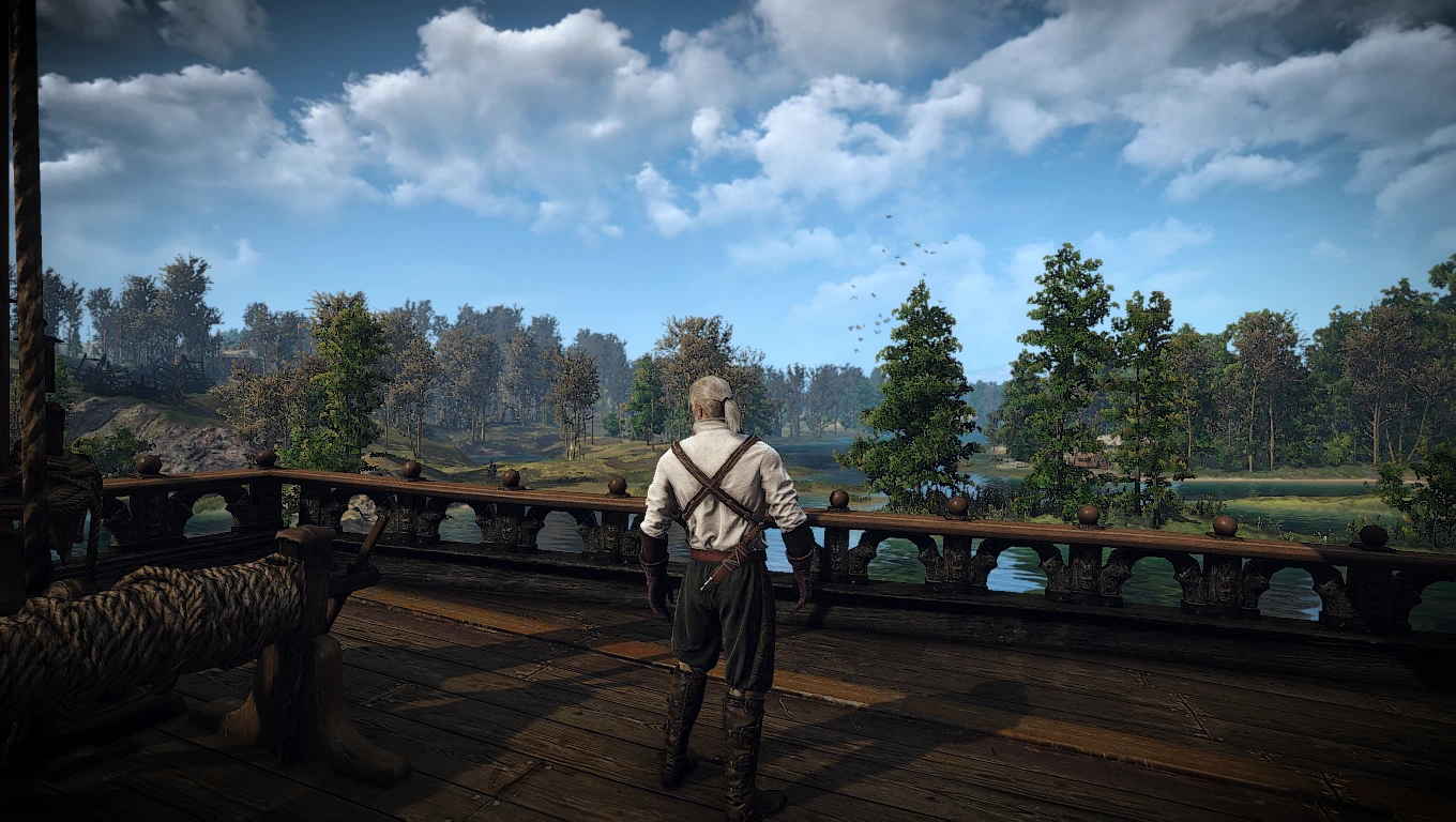 The Witcher 3 "Сборка модов на графику"