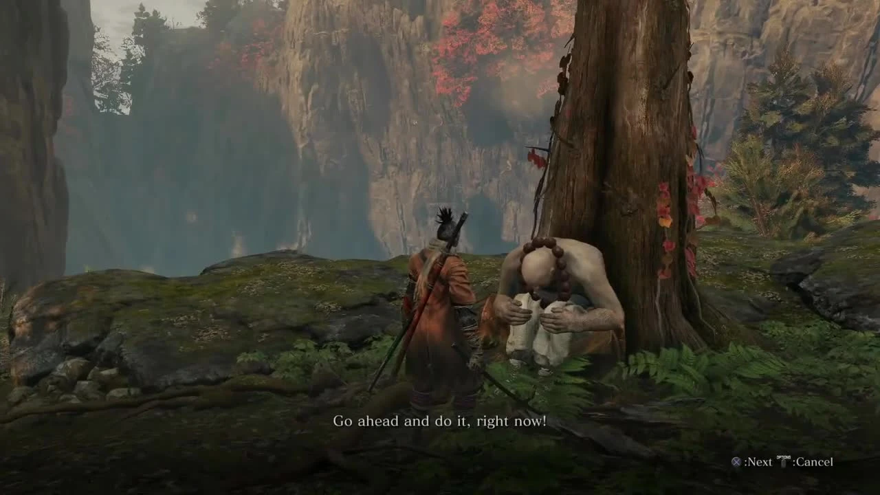 Кто такой ТЭНГУ? Мифология и лор Sekiro: Shadows Die Twice