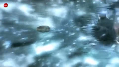 Singularity. Союз Нерушимый Республик Научных