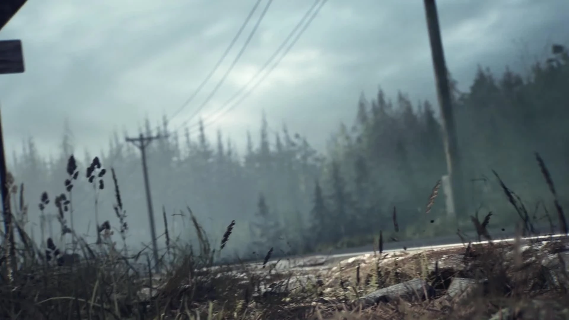 Дебютный трейлер Blair Witch