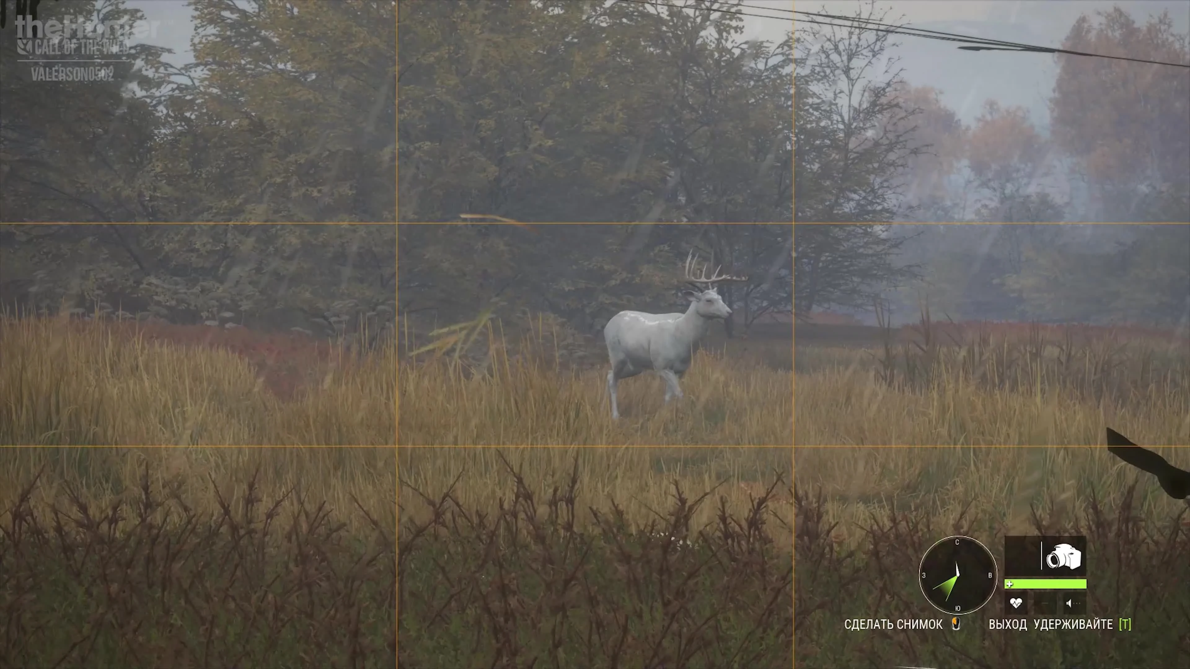 The Hunter: COTW - Встреча с редким животным #2
