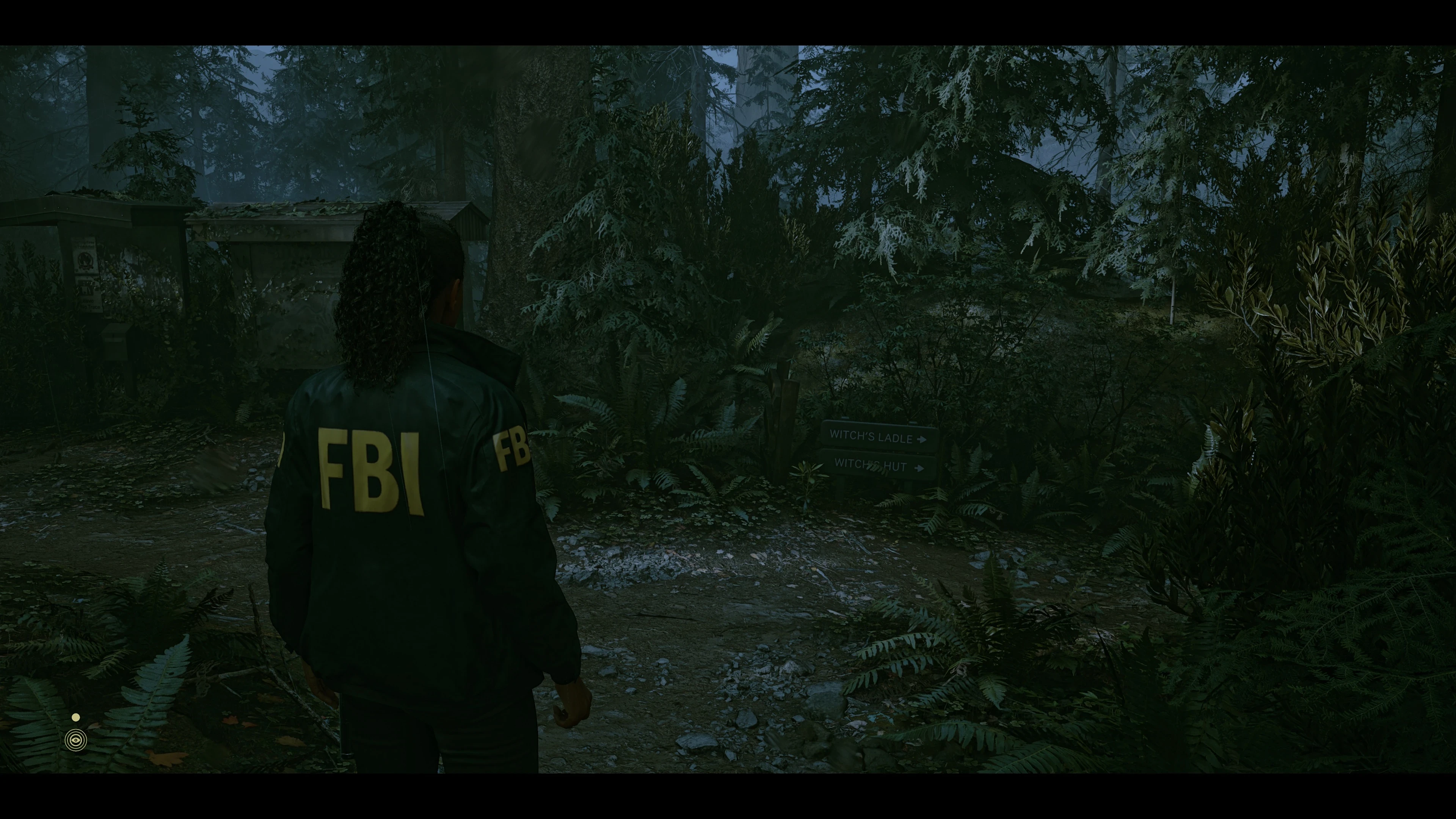 Alan Wake 2 "Пресет на кинематографичные цвета + удаление размытие"