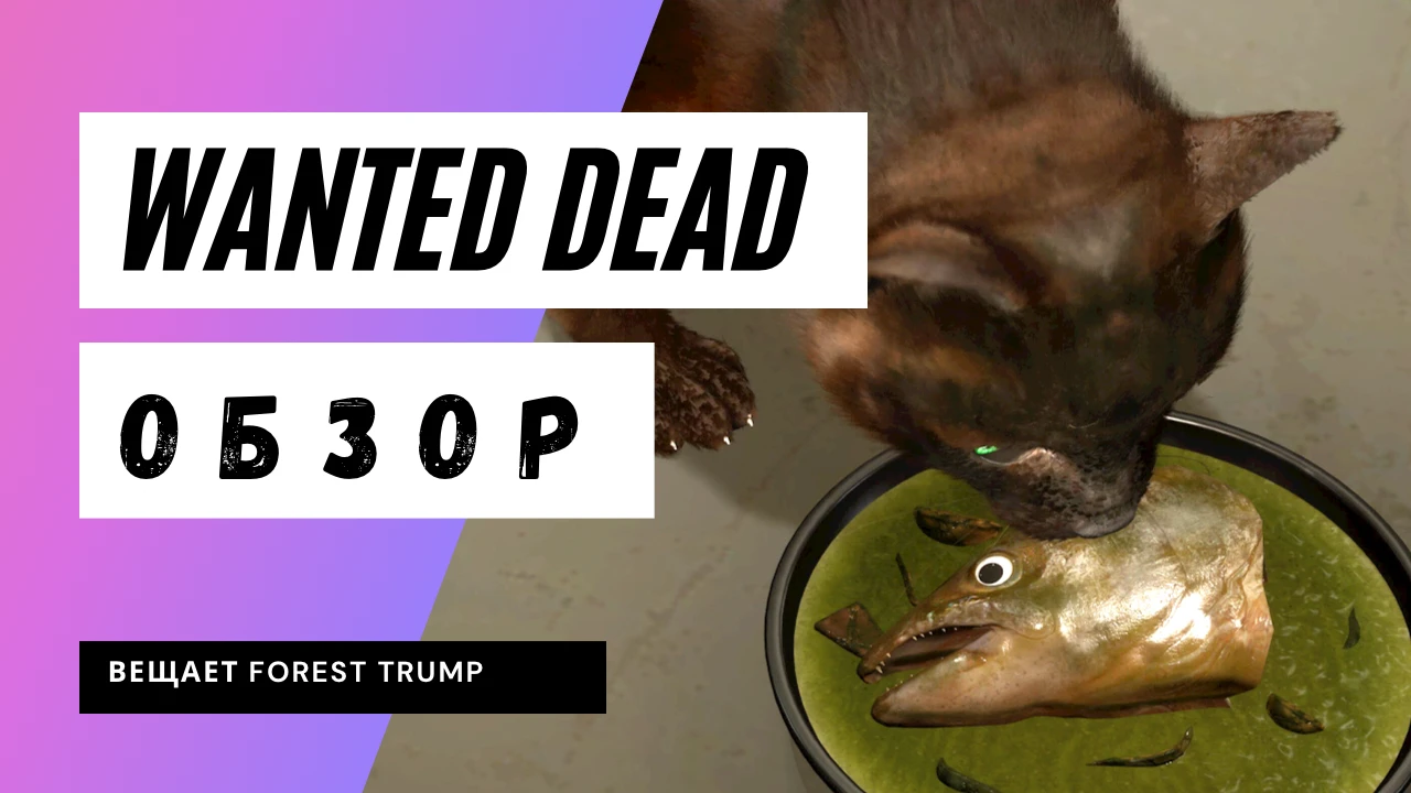 Wanted Dead: ни живой, ни мёртвый