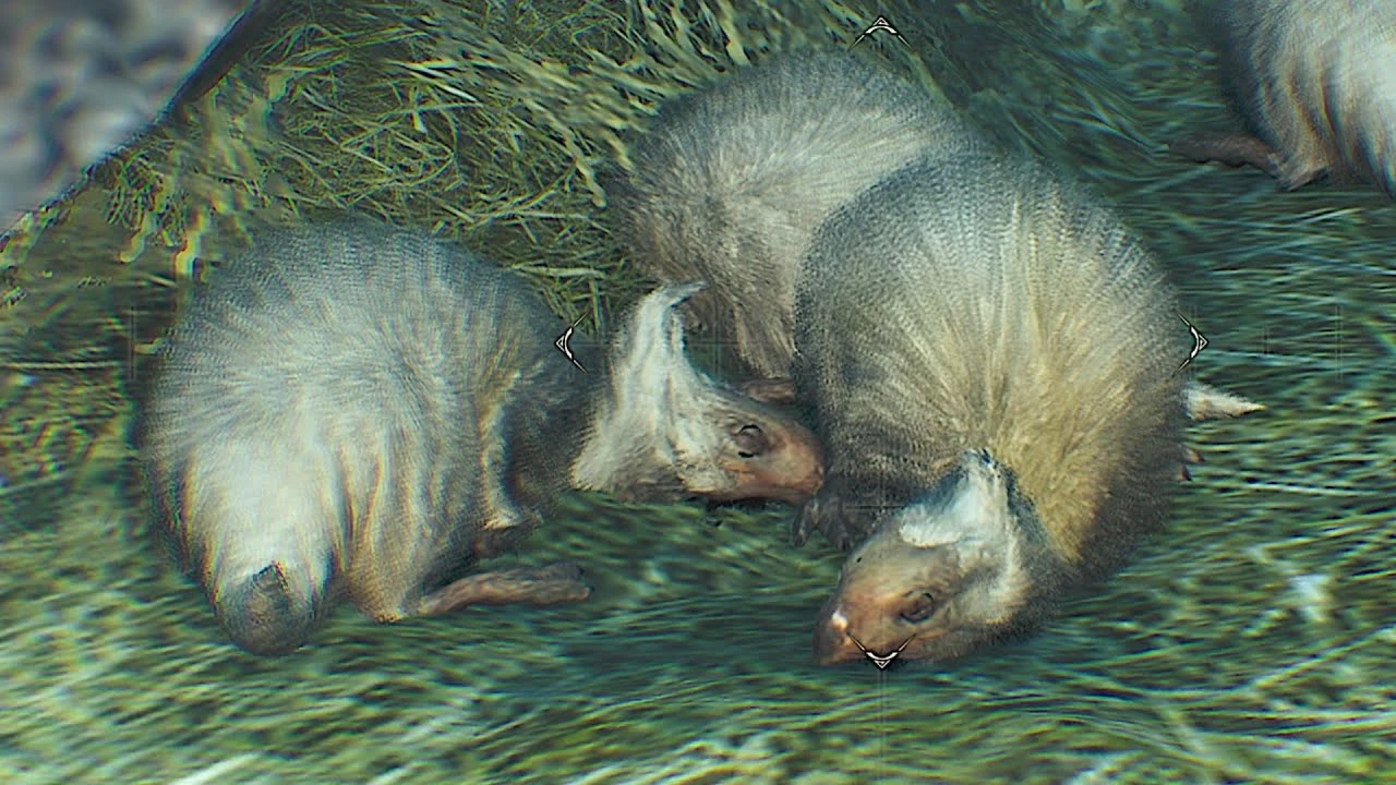 Когда разработчики точно знают, чего мы хотим