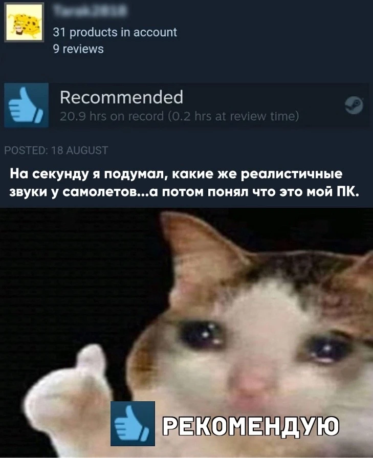 Коротко о Microsoft Flight Simulator: