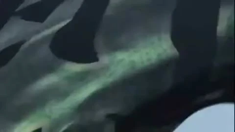 Dynasty Warriors 7 "Opening Trailer"