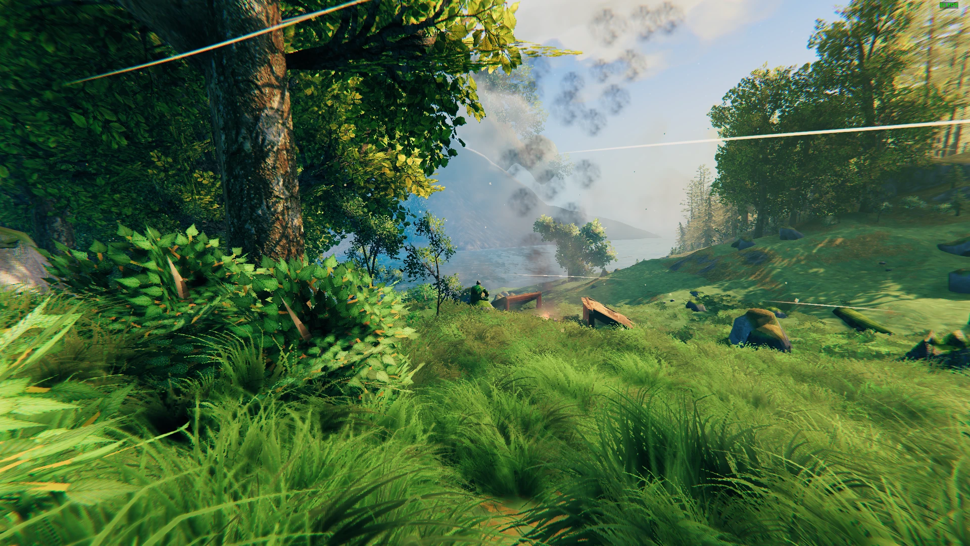 Valheim "Улучшение более 255 текстур"