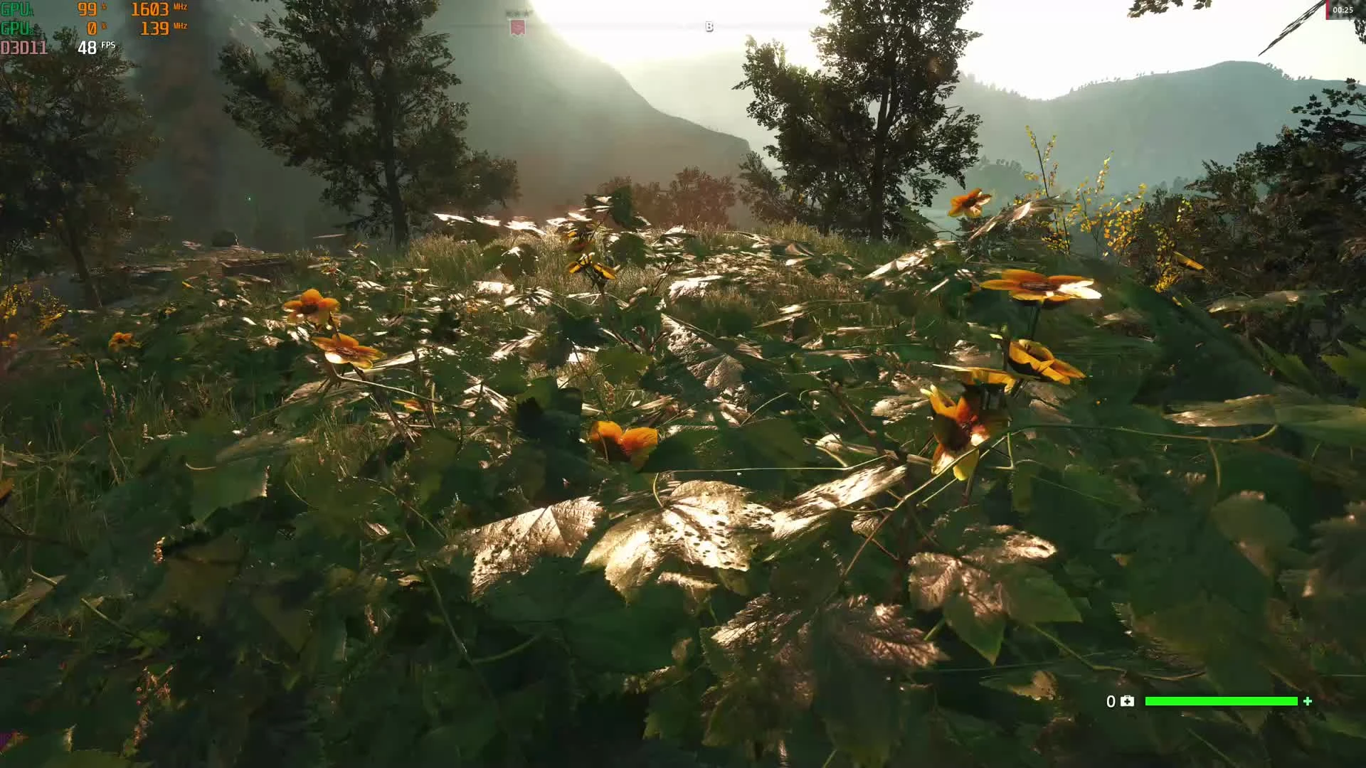 Far Cry: New Dawn - Животные (Олени)