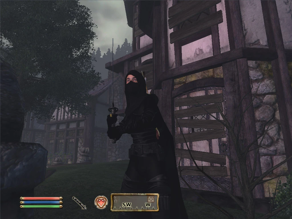 TES 4: Oblivion "Теневой наблюдатель для HGEC и UFF"