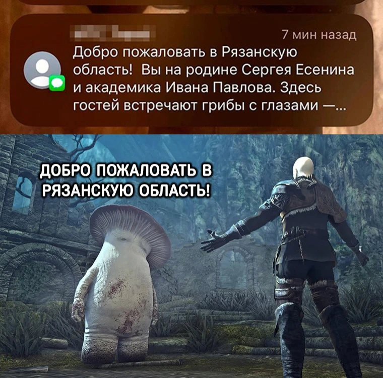 Добро пожаловать в Рязанскую область